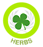 Catalog Icon