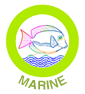 Catalog Icon