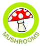 Catalog Icon